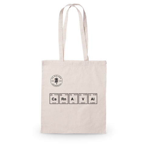 Tote Bag // Hay Química. Carnaval.